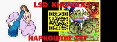 спайс Кингисепп