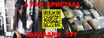 спайс Кингисепп