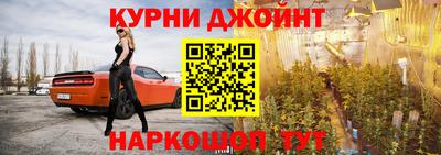 спайс Кингисепп