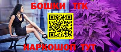 спайс Кингисепп