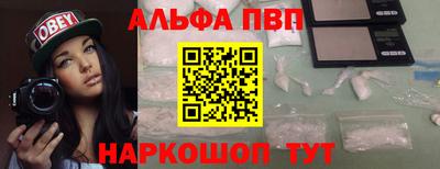 спайс Кингисепп