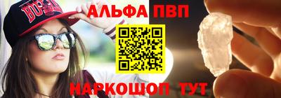 спайс Кингисепп