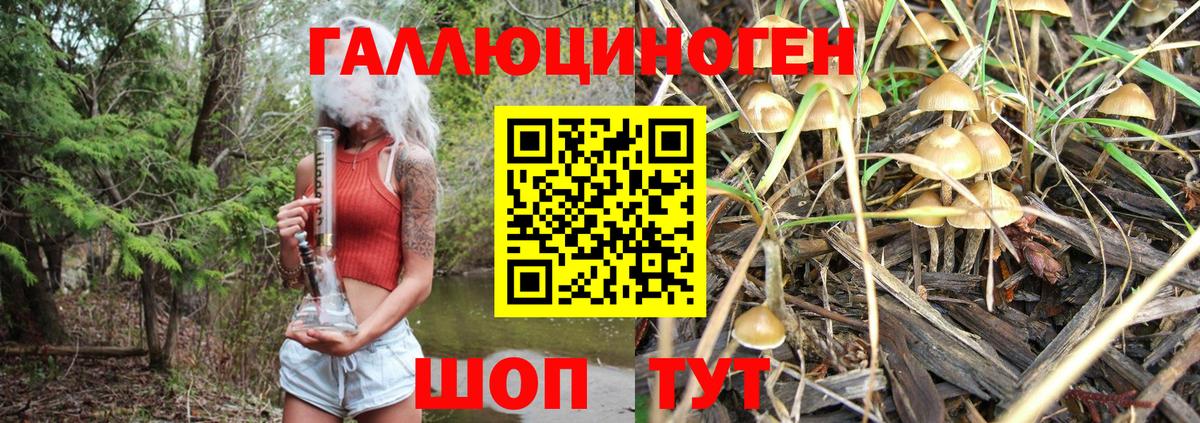 Ялта  Псилоцибиновые грибы Magic Shrooms  цена наркотик  Вход с VPN 