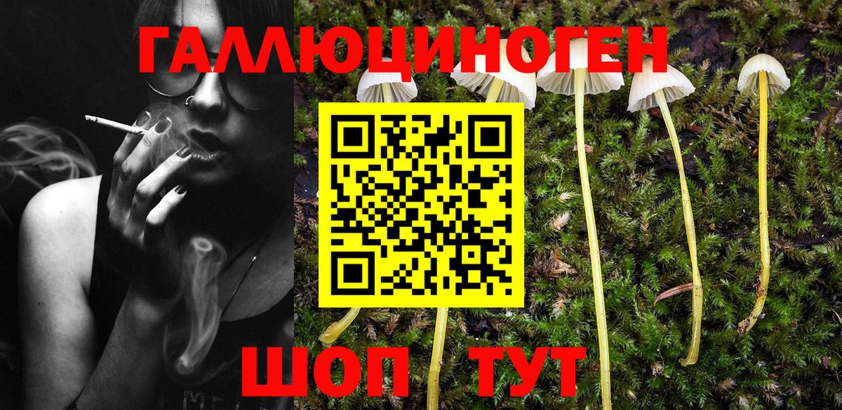 Галлюциногенные грибы мицелий Ялта
